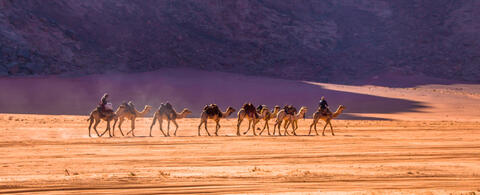 Jordan Tourism Will Not be Beaten by Covid-19!
