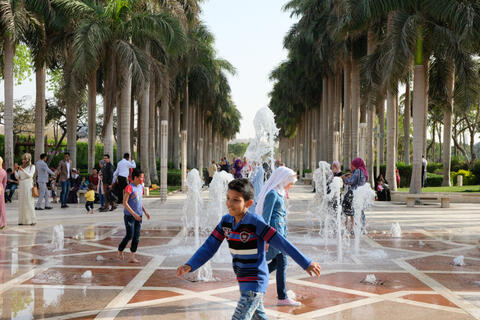 Illiteracy in Egypt reaches 16 million