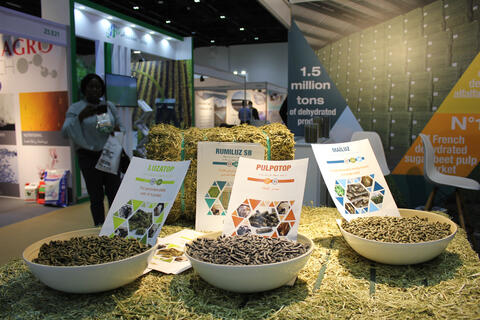 Food Security in the Arab World: Achievements, Challenges and Fears