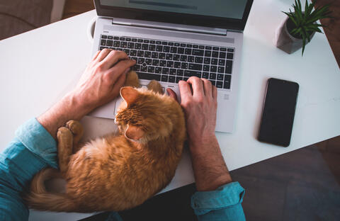 8 Traits To Look For in Candidates for Remote Positions