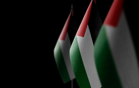 Britain's Pro-Palestine Groups Protest Outside Downing Street