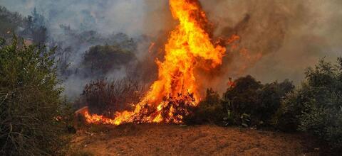 One Killed in Turkey's Massive Forest Fire