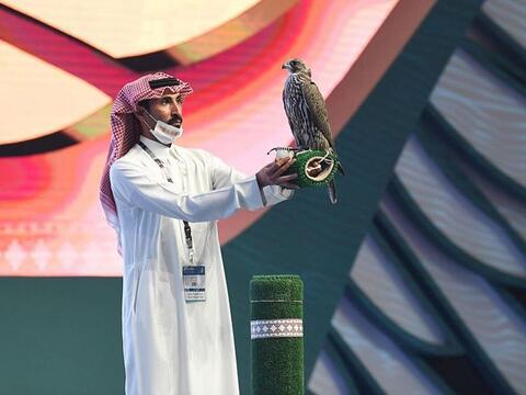 سعودي يشتري صقر جارح بـ 250 ألف ريال.. ما هي مواصفاته؟