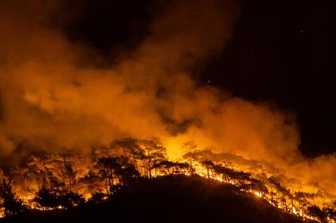 Raging Fires Brought 'Under Control' in Turkey 