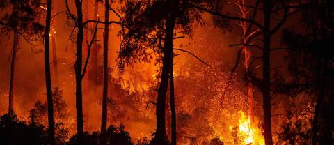Raging Fires Brought 'Under Control' in Turkey 
