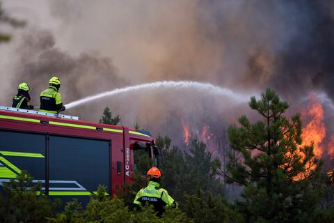 Algeria's Forest Fires Death Toll Rises to 65
