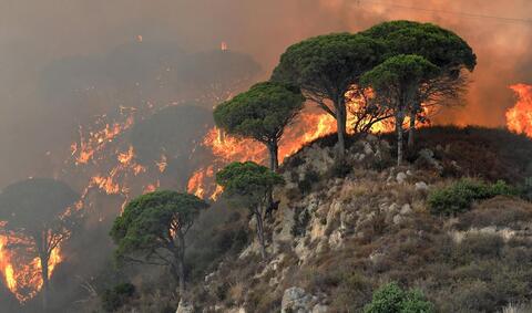 The World is Aflame With Massive Forest Fires - NASA 