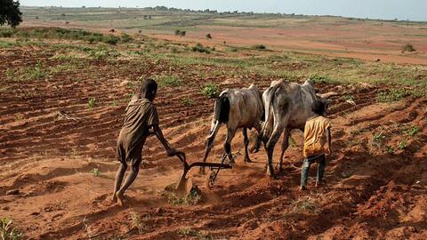 Why Should Indigenous People be on the Frontline of Nature Conservation?