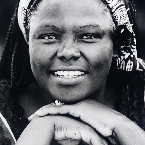 In Honor of Wangari Maathai Fondly Remembered For Her Love For the Environment