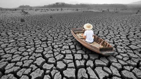  99.9% Of Studies Show That Global Warming Is Caused by Us