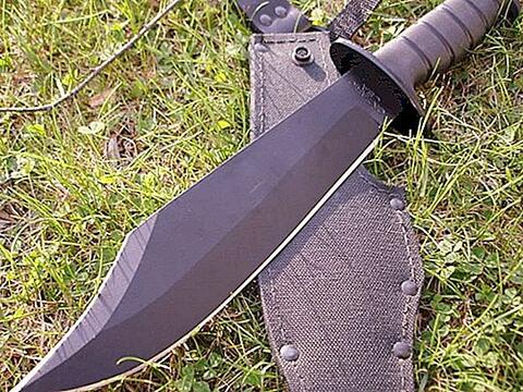 جريمة ذبح ثانية في مصر خلال ايام