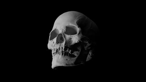Evidence of Leprosy Found on Uninhabited Caribbean Island