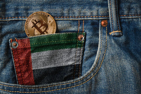 Celebrating UAE's Golden Jubilee with an NFT Auction
