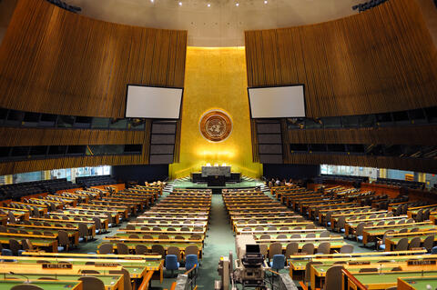 29th November is The UN Solidarity Day With The Palestinians 