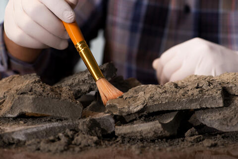 Wooden Roman Figure Discovered in a Buckinghamshire Ditch