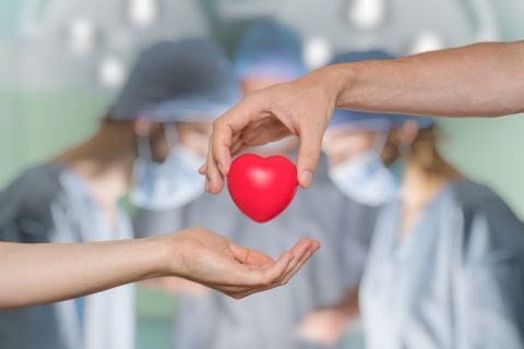 Artificial intelligence outperforms doctors in cancer diagnosis