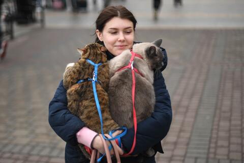 Save The Pets! Ukrainians Flee With Their Cats And Dogs