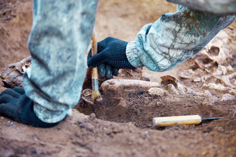 Ancient Crypt With Largest Illegal Silversmithing Site Found in Britain