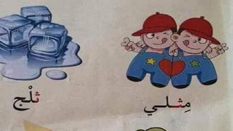 A 'Gay Picture' in Jordanian School Book Stirs Debate!