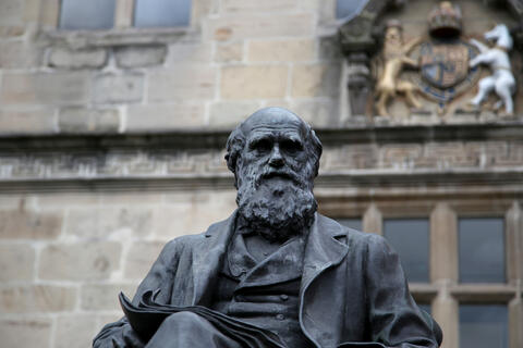Missing Charles Darwin Notebooks Found After 20 Years