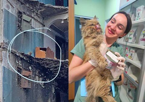 Emergency Workers Battle to Save Animals in Ukraine