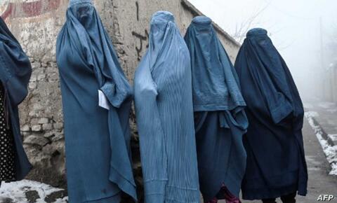 الولايات المتحدة: سياسات