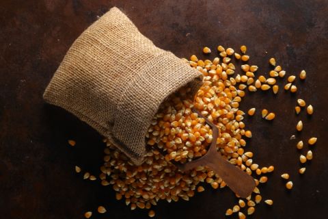 Can Toys, Furniture be Made From Popcorn? 
