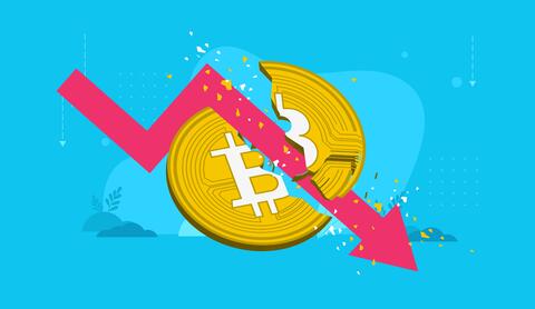 How to Survive the Crypto Bear Market?