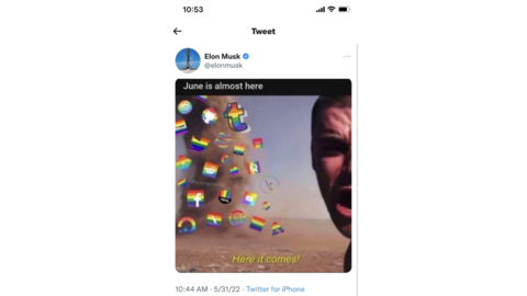 Elon Musk's Joke on Pride Month Fires Back at Him
