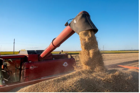 Food Security: Kuwait, Bahrain Praise Global Wheat Deal 