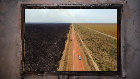 8 Ways Wildfires Are Harming the Global Economy