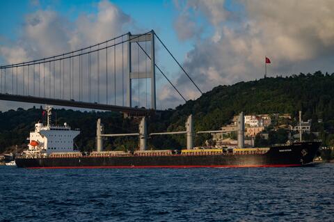 Ships of Grain Leave The Ukraine to Feed The World 