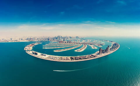 Buyer's Identity of Dubai's Costliest Home Revealed