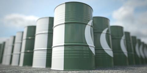Pakistan Raises Petrol Price to Rs 233.91 per Litre