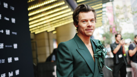 Is Harry Styles a bad kisser? here is what we know