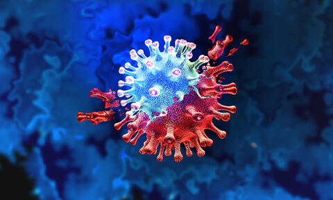What Do We Know About The New Covid-19 Variant?