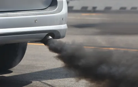 Causes of cancer in Europe are 5% caused by pollution