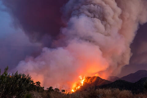 Mediterranean: Combating climate change 
