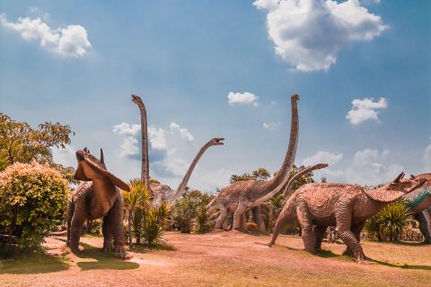 Fossil of mosasaur found in Morocco