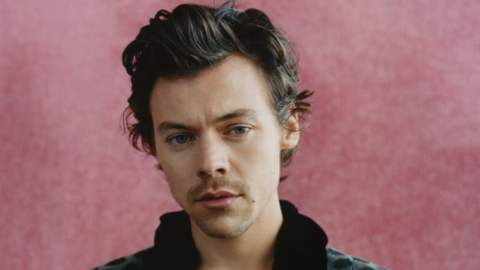 Is Harry Styles a bad kisser? here is what we know