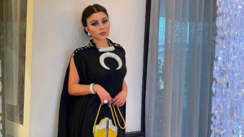 Lotfy speaks on Haifa Wehbe rape