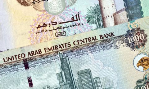 UAE Central Bank reports rise in cash deposits