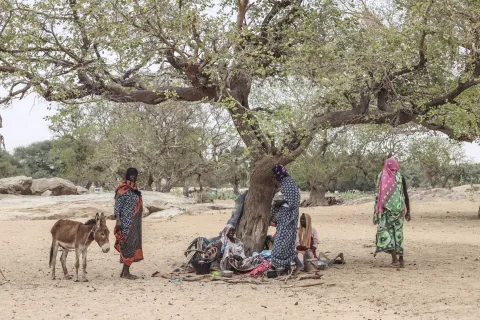 هدنة لـ 7 ايام في السودان