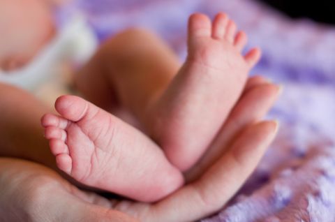 Dutch sperm donor gives birth to 550 kids 