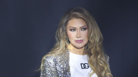 نوال الزغبي تخرج عن صمتها بشأن سرقة زوجها ملايين الدولارات منها