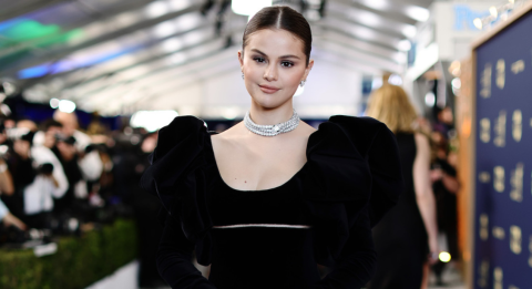 Selena Gomez unfollows Zayn, The Hadids and Dua Lipa