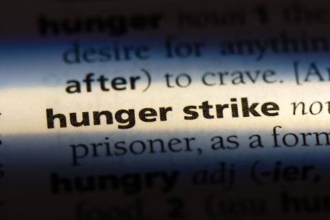 Gaddafi son begins hunger strike in Lebanon