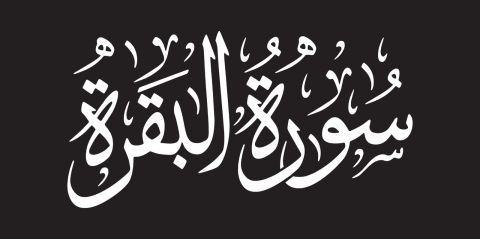 دعاء سورة البقرة لتحقيق الأمنيات