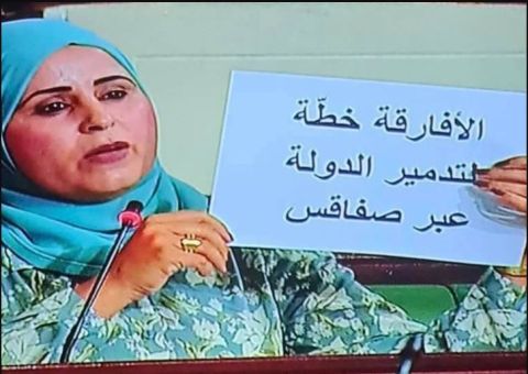Tunisian MP makes racist comment against Africans