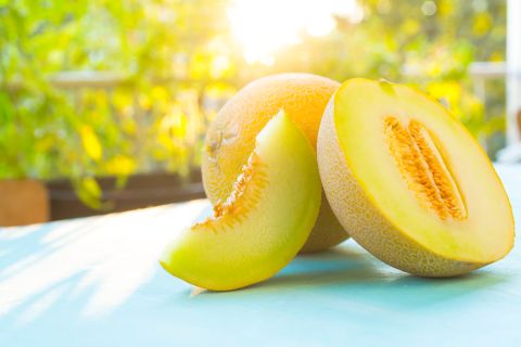 50 varieties of yellow watermelon in Uzbekistan festival
